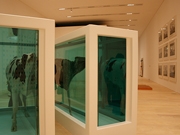 ����Ρֵ��פ������Ѵۤ˾�Φ�ݡ֥����ʡ��ޡ�Ÿ��