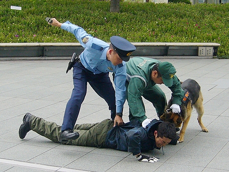 ϻ���ڥҥ륺�Ƿ������ˤ��ƥ�������ƶ��Х��ߥåȤ˸�����