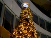 クリスマスツリー
