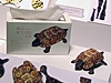 「三菱化学ジュニアデザイナーアワード2007」
