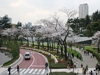 東京ミッドタウン 桜café