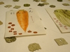 MITSUBISHI CHEMICAL JUNIOR DESIGNER AWARD 2008